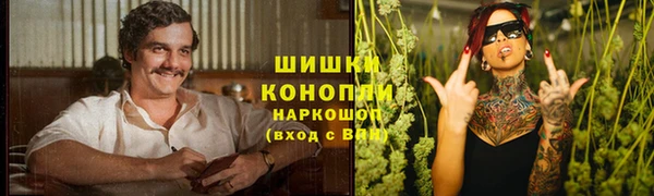 гидра Майский