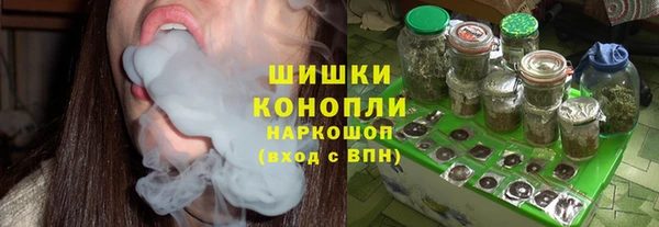 гидра Майский