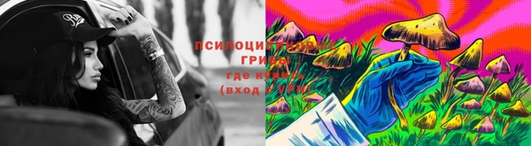 стаф Магас