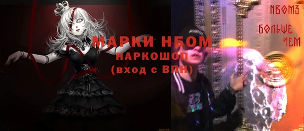 стаф Магас