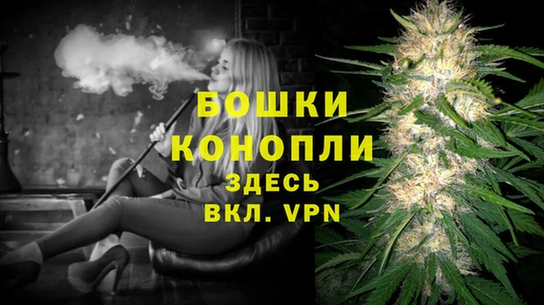 стаф Магас
