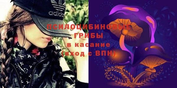 стаф Магас