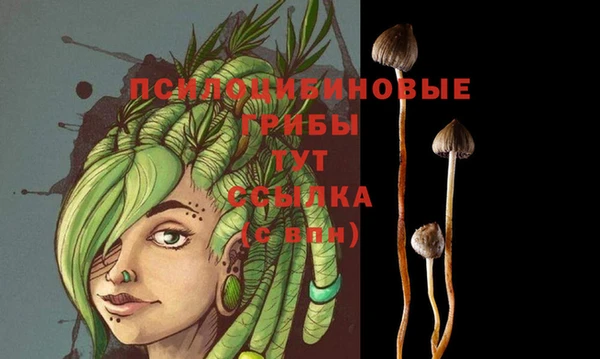 гидра Майский